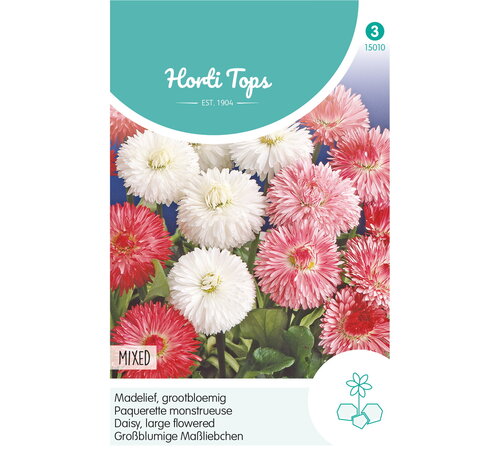 HT HT Bellis Perennis, Madelief Monstrosa dubbelbloemig gemengd