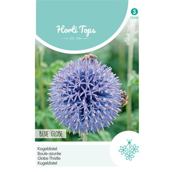 HT HT Echinops, Kogeldistel Blue Globe