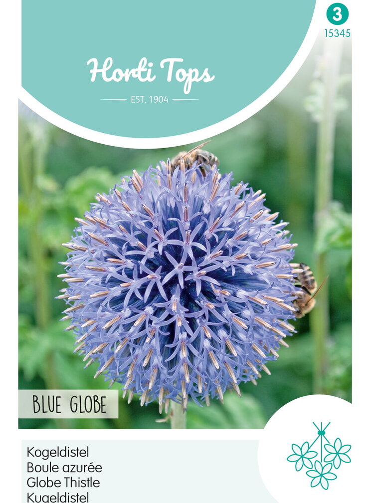 HT Echinops, Kogeldistel Blue Globe