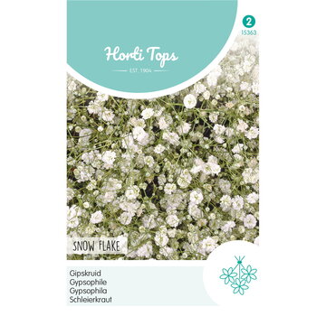 HT HT Gypsophila, Gipskruid Snow Flake dubbelbloemig wit