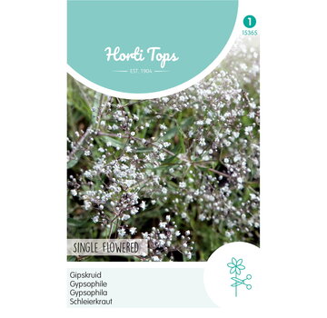 HT HT Gypsophila, Gipskruid enkelbloemig wit