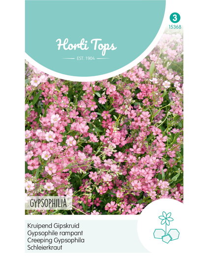 HT HT Gypsophila, kruipend Gipskruid rose