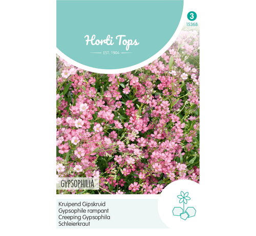 HT HT Gypsophila, kruipend Gipskruid rose