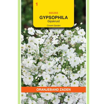 OBZ OBZ Gypsophila, Gipskruid Covent Garden