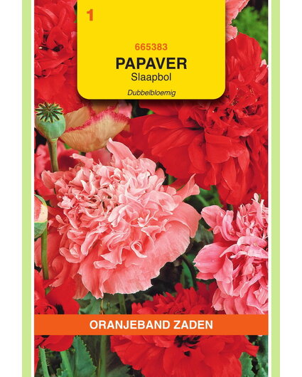 OBZ OBZ Papaver, Slaapbol dubbelbloemig gemengd