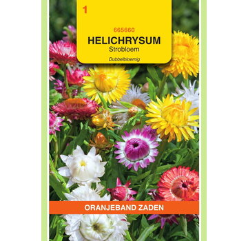 OBZ OBZ Helichrysum, Strobloem dubbelbloemig gemengd