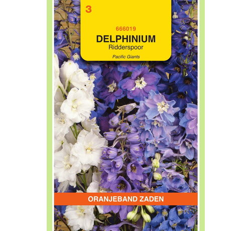 OBZ OBZ Delphinium, Ridderspoor Pacific Giants