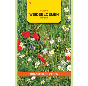 OBZ OBZ Weidebloemen mengsel - 5 m²