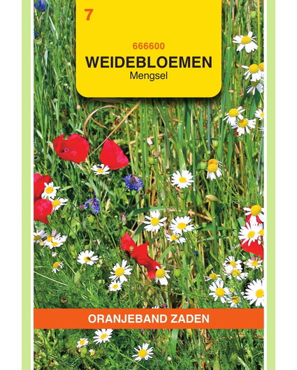 OBZ OBZ Weidebloemen mengsel - 5 m²