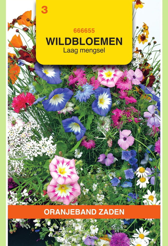 OBZ Wildbloemen mengsel eenjarig, laag