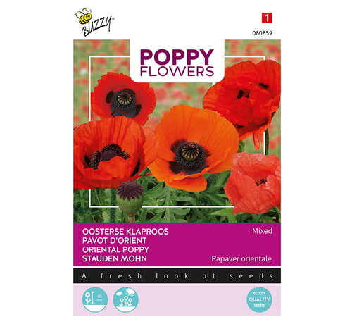 Buzzy® Buzzy® Poppy Flowers, Oosterse klaproos gemengd