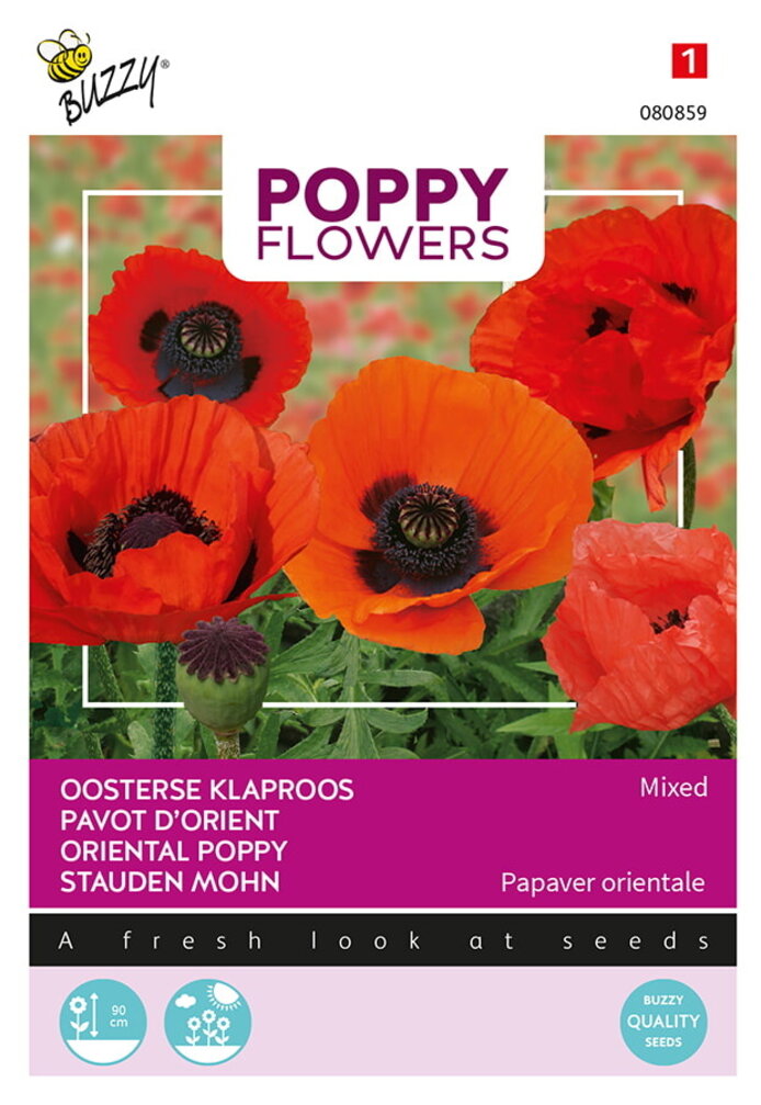Buzzy® Poppy Flowers, Oosterse klaproos gemengd