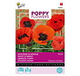 Buzzy® Poppy Flowers, Oosterse klaproos gemengd