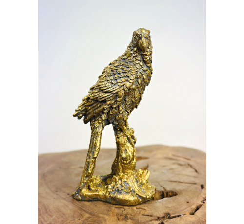 Gouden "papegaai" (polystone) | 11x7,5x20cm