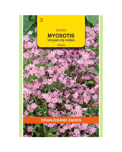 OBZ OBZ Myosotis, 'vergeet-me-nietje' Victoria Rose