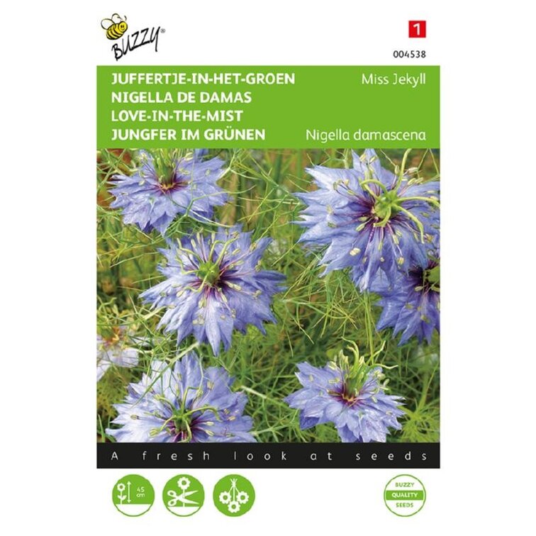 Buzzy® Nigella, Juffertje-in-het-groen Miss Jekyll