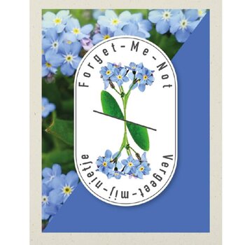 Buzzy® Premium Myosotis, 'vergeet-me-nietje' blauw