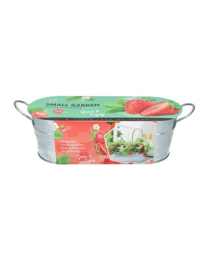 Buzzy® Small Garden "Sweet Strawberry" (giftbox)