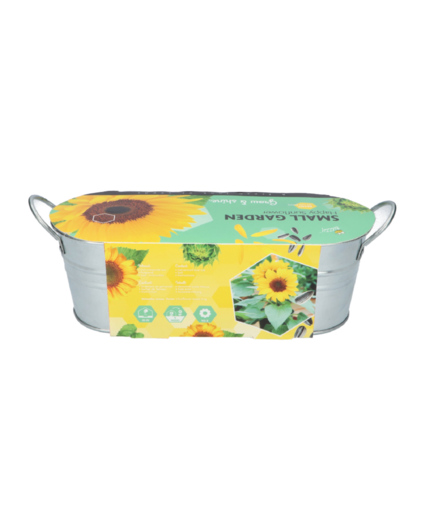 Buzzy® Small Garden "Happy Sunflower" (giftbox)