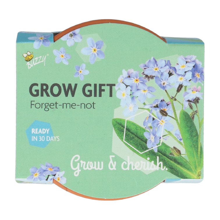 Buzzy® Grow Gifts 'vergeet-me-nietje' blauw