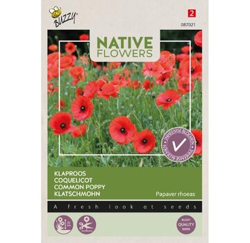 Buzzy® Buzzy® Native Flowers, klaproos