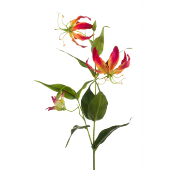 Zijden bloem "Gloriosa" Spray beauty/yellow | 75cm