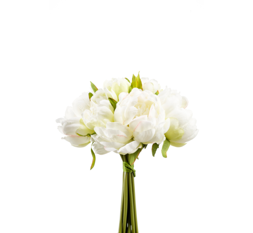 Zijden bloem "Peony" bundle white/green | 24cm