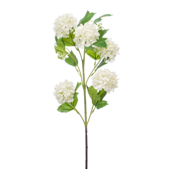 Zijden bloem "Viburnum" Spray x 5 Cream | 75cm