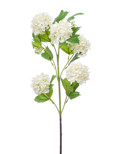 Zijden bloem "Viburnum" Spray x 5 Cream | 75cm