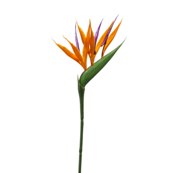 Zijden bloem "Strelitzia mini" spray orange | 65cm