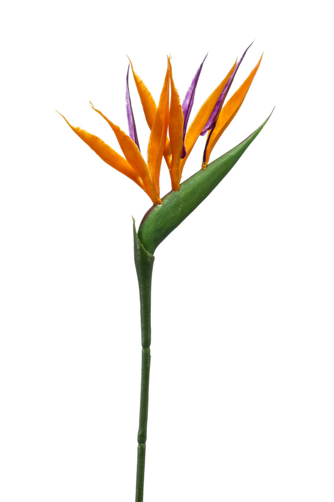 Kunstbloem "Strelitzia mini" spray orange | 65cm