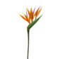 Kunstbloem "Strelitzia mini" spray orange | 65cm