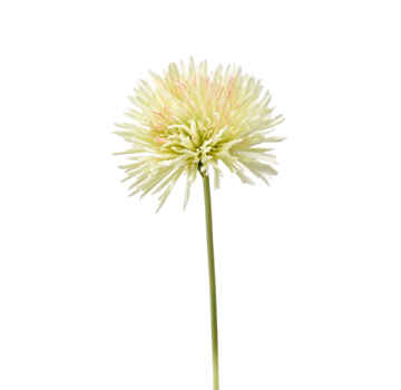 Zijden bloem "Chrysanthemum" Spray light green | 58 cm