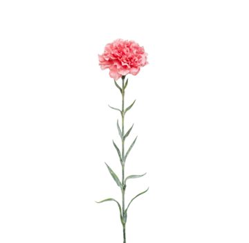 Zijden bloem "Dianthus" spray pink | 67 cm