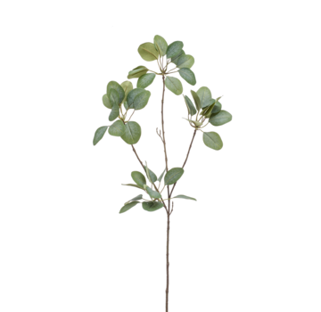 Zijden bloem "Eucalyptus" Spray x 4 green | 90 cm