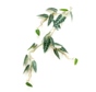 Zijden vine "Alocasia" green | 110cm