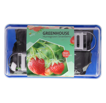 Buzzy® Buzzy® Greenhouse homegrown strawberry
