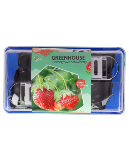 Buzzy® Buzzy® Greenhouse homegrown strawberry