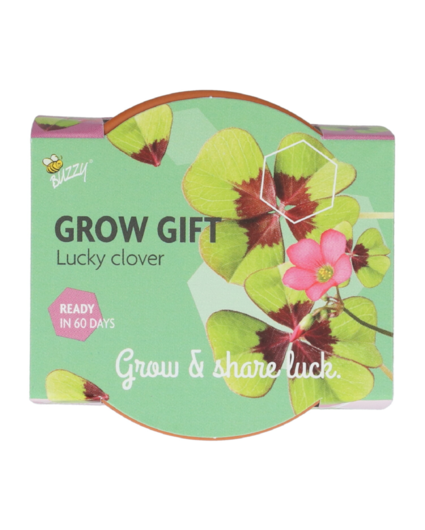 Buzzy® Buzzy® Grow Gifts 'Lucky Clover"