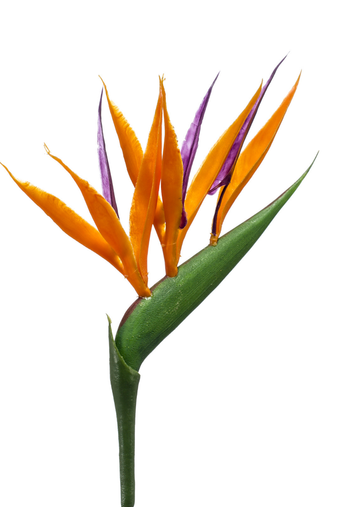 Kunstbloem "Strelitzia mini" spray orange | 65cm