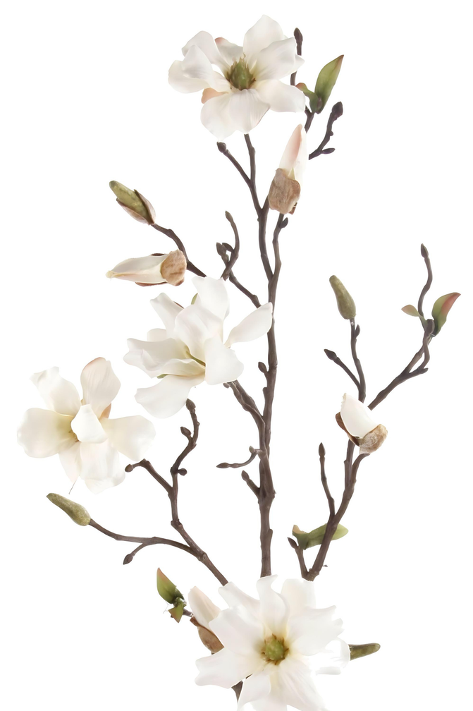 Zijden bloem "Magnolia Wild" spray cream | 75 cm