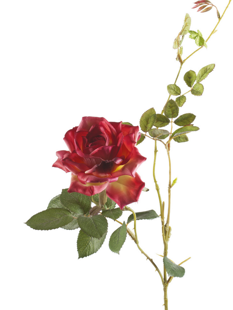 Zijden bloem "Rose Dianna" Spray dark pink | 75 cm