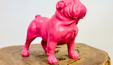 Roze bulldog | 21x11x19cm | Droogbloemetjes.nl - Droogbloemetjes.nl
