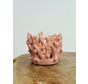 Tealight holder coral - roze - (polyresin) | 9x9x8cm