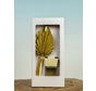Leafy Spaces Geurstokjes "Whitemusk'' - met palmbladeren