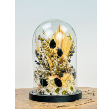 Zwart/wit droogbloemen in glazen stolp ''medium'' zwart - ⌀14xH21cm