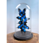 Vlinderstolp | Papilio Ulysses | 6 stuks |  40 x 20 cm