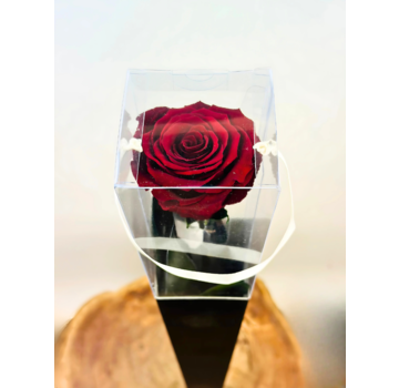 Longlife Roos "Sealed Love" in giftbox (donkerrood) - 70 cm