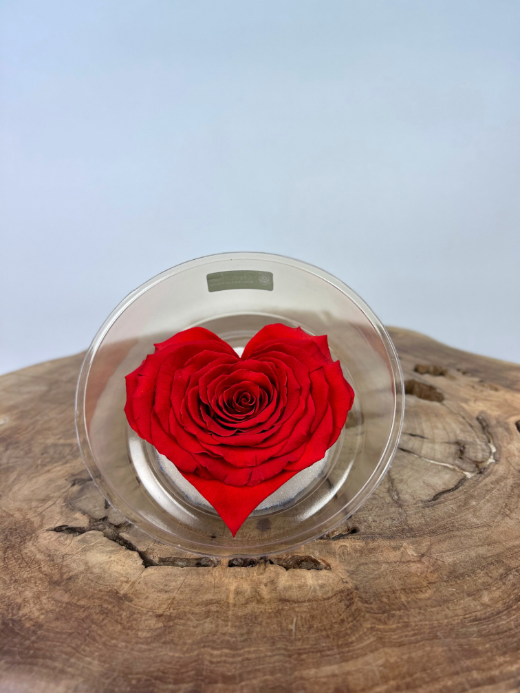 DIY | Longlife rozenkop | Hart - Rood