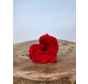 DIY | Longlife rozenkop | Hart - Rood
